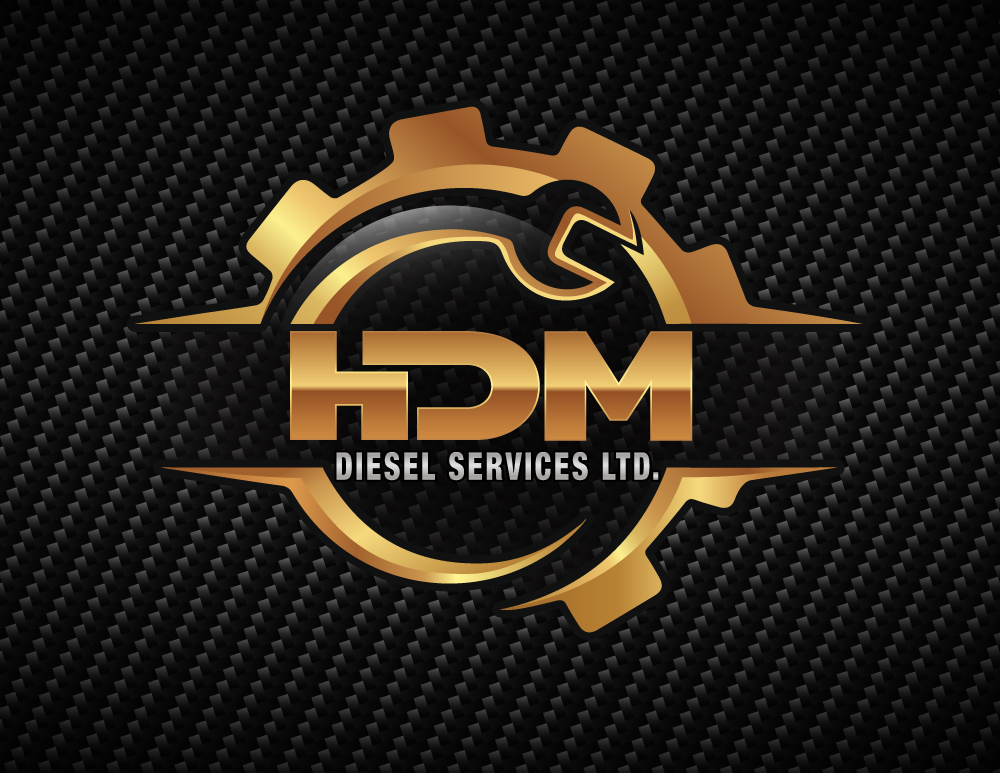 hDM Diesel Services Ltd Logo